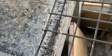 Concrete Repairs